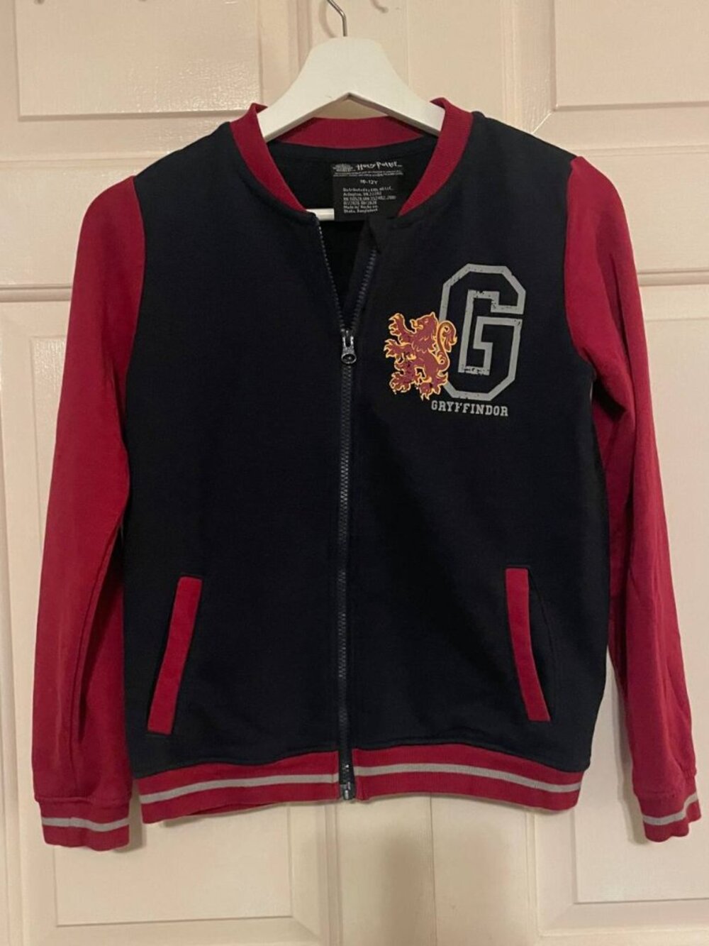 Harry Potter Gryffindor Quidditch Champion Varsity Jacket | Kidcore unisex